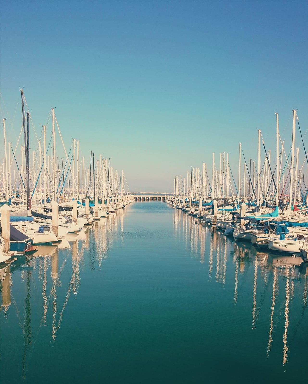 Sailboats moored in calm harbor